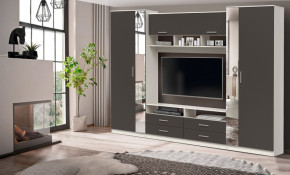 ШМЦ Вена  91.01 с зеркалом в Обь - ob.mebelnovo.ru | фото